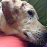 Max Radke - @maxradkesleepfarts - Instagram