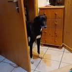 Maximilian Radke - Facebook