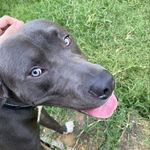 Radke - @maxradke0 - Instagram