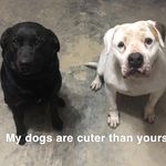 Cassidy Ratliff - @max_and_levi_ratliff - Instagram