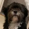 Max Reading - @reading91 - TikTok