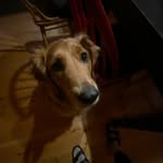 Max readings - @readingsmax - Instagram