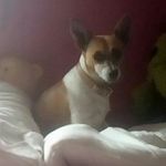 Max reck - @max_reck4 - Instagram
