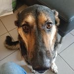 Max Reck - @nyenhuis70 - Instagram
