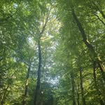 Max Redman - @maxatron0162 - Instagram