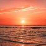 Max Reece - Facebook