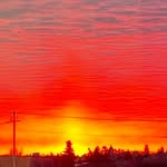 Max Reeder - @max_reeder24 - Instagram
