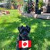 Maxine Reichstein - Facebook