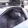 Max Reimer - @max.reim - TikTok