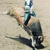 Max Reimer - @big.pimp55 - TikTok