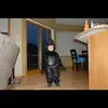 max.reimerr - @max.reimerr - TikTok