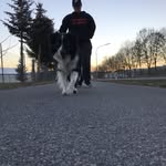 Maximilian Renner - @max.renner_ - Instagram