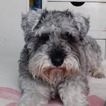 Max - @maxr_endon - Instagram