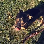 @maxie_renfroe5 - Instagram