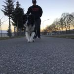 Maximilian Renner - @max.renner_ - Instagram