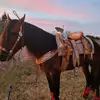 Max Resendiz 🇲🇽🩴⚔️ - @maxresendiz2164 - TikTok