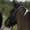 maxreuter32 - @maxreuter32 - TikTok