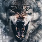 Max Hartmann - @_max__reyes_ - Instagram