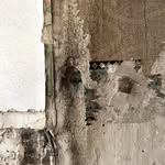 maxreynard - @maxreynard - Instagram