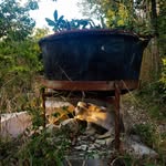 Max-Johannes Neuwirth Riedl - @maxjohannesnr - Instagram