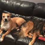 Hi - @max_riggs_ - Instagram