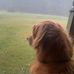 Max Riggs - Facebook