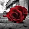 maxriggs962 - @maxriggs962 - TikTok