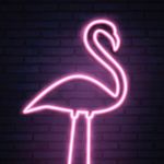 Max Rinehart - @rinehartmax - Instagram