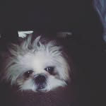 @max_riveros_farias - Instagram