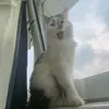 Max Robb - @maxrobb.priv - TikTok