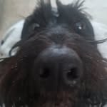 yuuhhh - @max_robb_ - Instagram