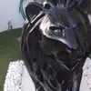 Max Roberto - @max.roberto6 - TikTok