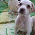 Max Roby - @mat.ty077 - Instagram