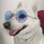 #Max - @__max_rock - Instagram