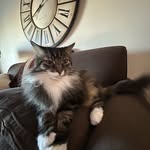 Max - @maxrockwell11 - Instagram