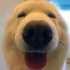 Max Rode - @maxrode5 - TikTok