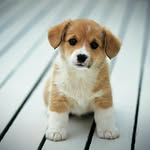 Max Rechenberg Rolf - @lonesomehunter99749 - Instagram
