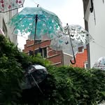 Max Rolf Strunz - @strunzmax - Instagram