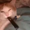 max - @maxp.roman - TikTok