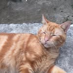 Max Rosado - Facebook