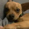 max_rosado - @max_rosado - TikTok
