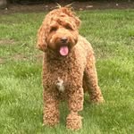 Max Rubenstein - @movesbymax - Instagram