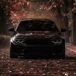 Max Brunner Rupp - @max1yolo - Instagram