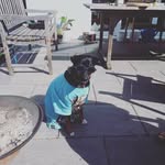 Ronny - @aaron.max.rupp - Instagram