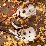 Max & Sawyer - @max_and_sawyer - Instagram