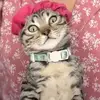 Max and Saxon - @max.and.saxon - TikTok