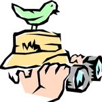 Max Saxon BirdWatching Academy - @max.birdwatching.academy - Instagram