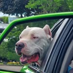 Kyle Max Saxton - @clamcommander - Instagram