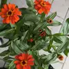 Max scherer - @www.tiktok.comtik.tok6 - TikTok
