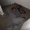 maxschiffhauer - @just_max15 - TikTok